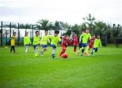 珠峰之歌,词坛泰斗李,幼容逝世,博业体育平台,博业体育官方网站,博业体育登录入口,博业体育app下载