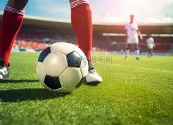 热刺教头力,赞本坦库尔,归队,博业体育平台,博业体育官方网站,博业体育登录入口,博业体育app下载