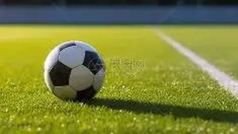 博业体育 资讯 101600 fwi